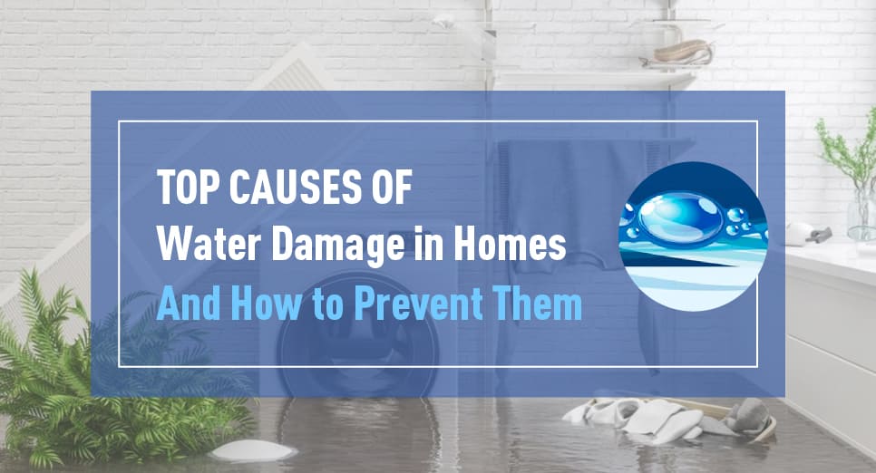 Top Causes of Water Damage in Tampa Homes & How to Prevent Costly Repairs